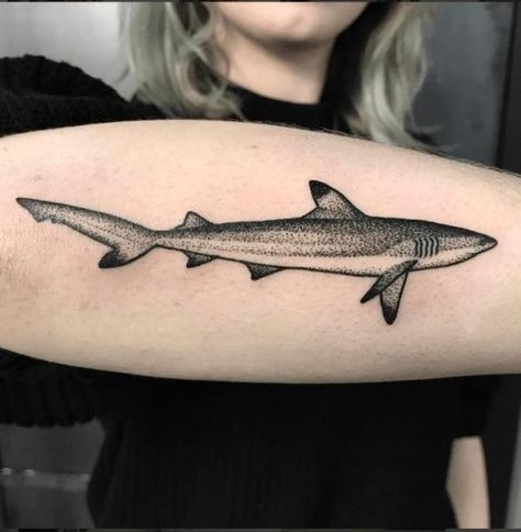 Whitetip Shark, Hai Tattoo, Tattoo S, Tattoo Dotwork, Kunst Tattoos, Whale Tattoos, Shark Tattoo, Shark Tattoos, 1 Tattoo