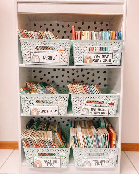 Lauren 👋🏽 LoLo Loves Learning en Instagram: “✨Chapter Book Organization✨ This has taken me a hot minute but it is worth it! 🤪 I used colored mailing address labels to put on the…” Modern Classroom Decor, Teaching Classroom Decor, Judy Moody, Mailing Address Labels, Library Book Displays, Library Organization, Modern Classroom, Back To School Essentials, Classroom Library