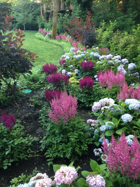 ASTILBES AND HYDRANGEAS IN JUNE Road Side Garden Ideas, Dianthus Companion Plants, Flowerbed Design, Landscape Edging Stone, Lush Backyard, Landscape Planning, Box Flowers, Cottage Garden Design, Dream Yard