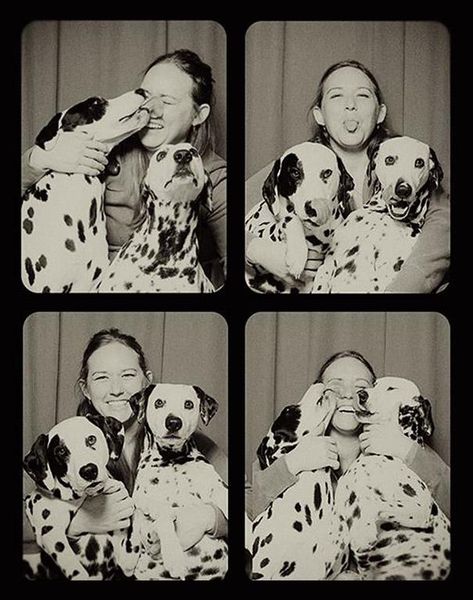 What Happens When You Put Two Pit Bulls in a Photo Booth? Vintage Photo Booths, Photobooth Pictures, Dog Photoshoot, Dog Photograph, Pit Bulls, Cutest Thing Ever, Vintage Dog, Pitbull Dog, Family Dogs