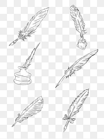 Feather Line Drawing, Feather Pen Drawing, Feather Line Art, Pen Clipart, Line Drawing Simple, Feather Sketch, Black Line Drawing, Black Clipart, Wing Drawing