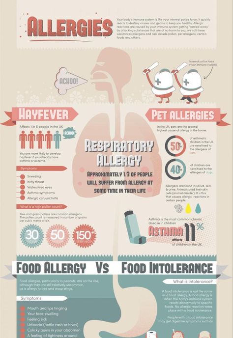 Allergy Fact Sheet Infographic Idea2 - Infographic Ideas For Healthcare Europass Cv, Scientific Poster Design, Infographic Ideas, Infographic Examples, Scientific Poster, Ambassador Program, Infographic Layout, Education Poster Design, Infographic Inspiration