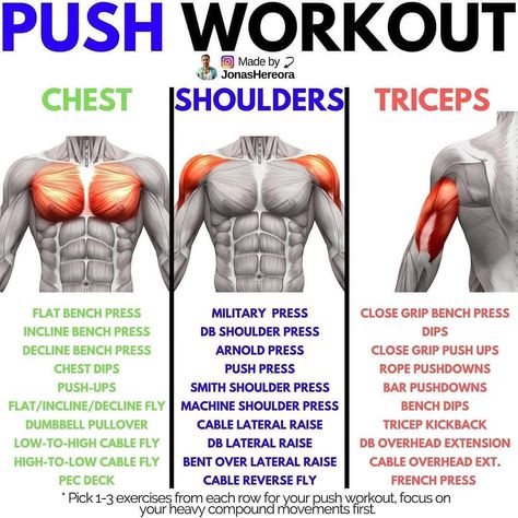 Photo shared by youth_fitness_icon on October 02, 2020 tagging @whitneyysimmons, and @models_.life. Image may contain: 1 person. Push Pull Split, Push Pull Legs Routine, Push Pull Legs Program, Push Pull Legs Workout, Push Day Workout, Big Biceps Workout, Pull Up Workout, Push Workout, Push Day