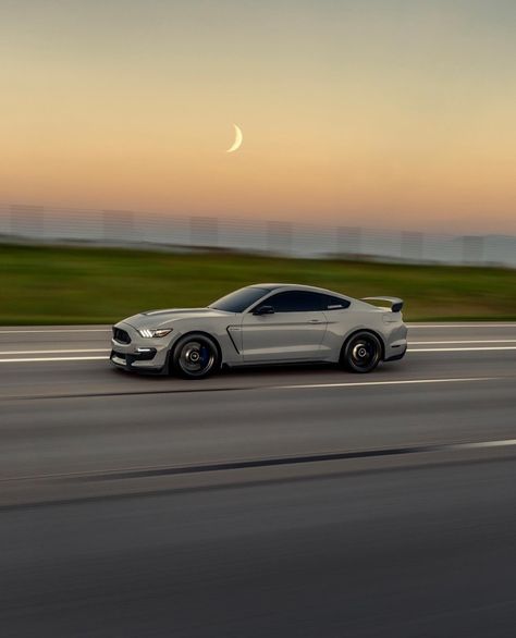 Mustang 5.0, Mustang Photoshoot, Mustang Aesthetic, Silver Mustang, Mustang Gt 350, The Life I Want, Mustang Gt350, Future Vehicles, How To Prioritize