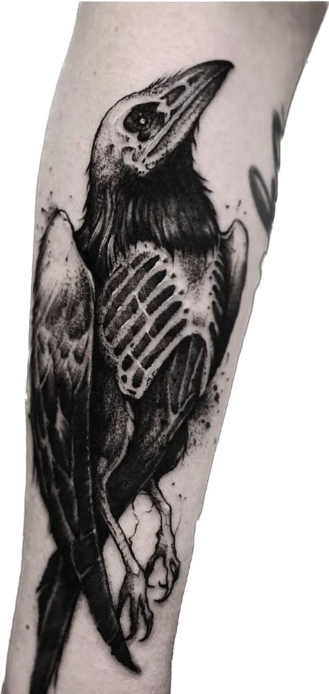 Black Crow Tattoos, Bird Skull Tattoo, Bookish Tattoos, Funky Tattoos, Sharpie Tattoos, Crow Tattoo, Skeleton Tattoos, Elbow Tattoos, Raven Tattoo