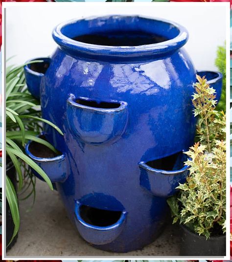 Looking to add a touch of creativity to your outdoor space? Check out these 11 unique garden pottery plant pot ideas that will elevate your garden decor. From whimsical designs to elegant styles, these plant pots are sure to make a statement in your garden. Find the perfect garden pottery plant pots to showcase your favorite plants and flowers. Plant Pot Ideas, Pottery Plant Pots, Strawberry Planter, Outdoor Pottery, Strawberry Pots, Pottery Plant Pot, Strawberry Planters, Ceramic Planter Pots, Pot Ideas