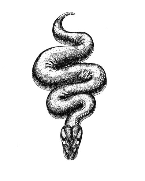 A snake. A ball python to be exact. Python regius. I like snakes too. A lot 🙂 Python Tattoo, Ball Python Sketch, Ball Python Drawing, Royal Python Tattoo, Ball Python Tattoo, Ball Python Drawing Sketch, Python Snake Drawing, Ball Python Wrapped Around Arm Tattoo, Ball Python Tattoo Black And White