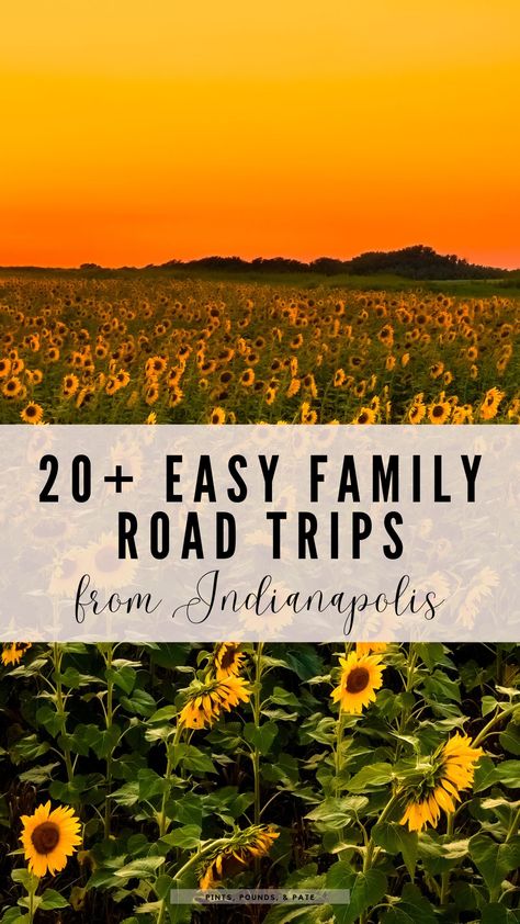 20+ easy, quick family road trip ideas from Indianapolis, Indiana #indianapolis #roadtrip #midwest #roadtripideas #roadtripsdestinations Day Trips From Indianapolis, Effingham Illinois, Midwest Road Trip, Road Trip Ideas, Family Road Trip, Road Trip Destinations, Family Road Trips, Indianapolis Indiana, Road Trip Fun