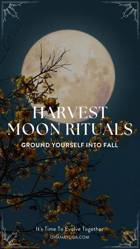 Full Moon Magic, Winter Solstice Celebration, Solstice Celebration, Moon Rituals, Ground Yourself, Full Moon Ritual, The Harvest, Harvest Moon, Moon Magic