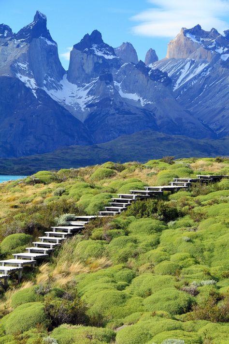 World's Most Stunning Public Staircases | Architectural Digest Stunning Staircases, Plant Vines, Chicago Lake, Top Of The Stairs, Patagonia Chile, Chile Travel, Public Sculpture, Renzo Piano, Vatican Museums