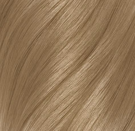 the concept wardrobe | A harmonious hair colour for the Light Spring type (PCA). Hair Colour Swatches, Bright Spring Blonde Hair, Spring Hair Colour, Light Spring Hair Color, Bamboo Blonde, The Concept Wardrobe, Light Spring Color Palette, Hair Color Swatches, Concept Wardrobe