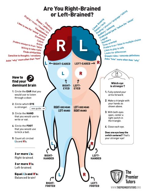 Left Vs Right Brain, Left Brain Right Brain, Tattoos Architecture, Brain Poster, Left Brain, Study Strategies, Design Tattoos, Brain Facts, Brain Gym