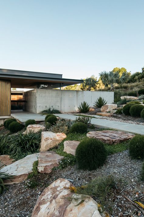 Coolamon House, Hill Landscaping, Australian Garden Design, Tattoo Plant, Coastal Garden, Australian Native Garden, Park Street, Sloped Garden, Australian Garden