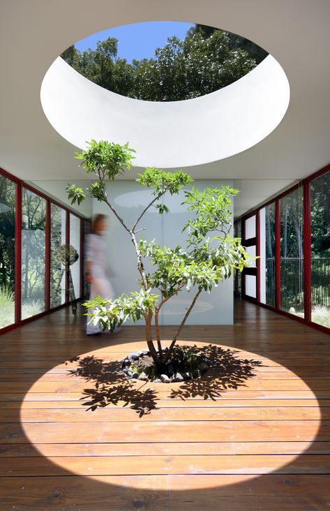 Gallery of Chinkara House / Solis Colomer Arquitectos - 2 Round Windows, Stone Exterior Houses, Indoor Tree, Guatemala City, Indoor Trees, Indoor Gardens, Patio Interior, Design Del Prodotto, Interior Garden