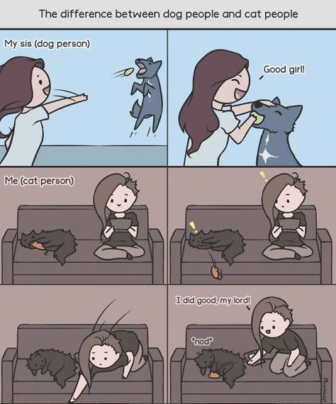 Dog Comics, Cat Vs Dog, Cat Comics, Dog People, Cat People, Cats And Dogs, Cute Comics, Funny Animal Pictures, Cat Owners