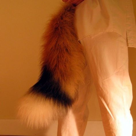 Fox Tail Aesthetic, Fox Ears Aesthetic, Fox Tail Reference, Fox Hybrid Oc, Shapeshifter Oc, Kitsune Aesthetic, Fox Fursona, Tail Aesthetic, Fox Oc