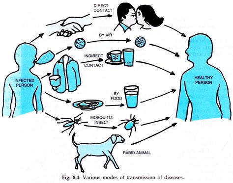 Science Lab Safety, Diseases Pictures, Communicable Diseases, Non Communicable Disease, Lab Safety, Infection Control, Animals Pictures, Baby Animals Pictures, Straight Forward