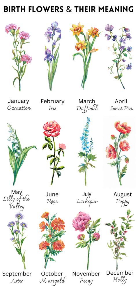 Birth Flower Meaning Birth Flower Art By Month My Birth Month Flower Meaning Botanical Month Gift — Alla Dickson Art & Goods Flower For May Birth Month, Flowers Of Each Month, January Month Flower, Birth Flower Meanings, Tattoo Month Flowers, Month Flower Chart, Birth Month Butterfly, Birth Flowers By Month, Flower By Month