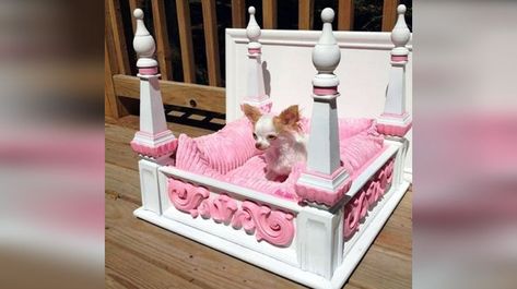 Coffee Table Dog Bed, Creative Dog Bed, Fancy Dog Beds, Princess Dog Bed, Dog Bedroom, Diy Pet Bed, Clever Dog, Dog House Diy, Diy Dog Bed