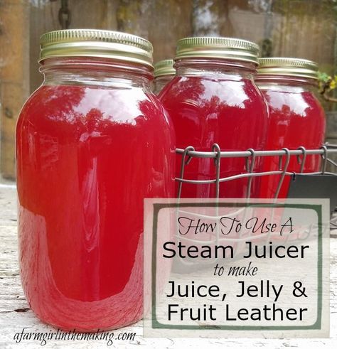 A steam juicer has revolutionized making juice concentrate, jelly, and fruit leather. Do not spend hours boiling and handing fruit, this preserving tool is ideal to use in and outside of canning season!  #steamjuicer #jelly #juice #fruitleather #canning Juice Jelly, Steam Juicer, Making Bone Broth, Canning 101, Freezing Food, Canning Food, Water Bath Canning, Fruit Leather, Juicer Recipes