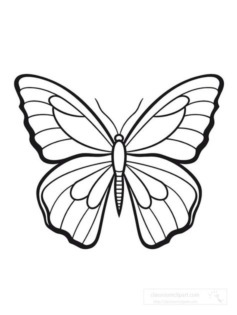 butterfly simple black outline coloring printable clipart Butterfly Printable Template, Butterfly Drawing Outline, Butterfly Simple, Easy Butterfly Drawing, Silhouette Butterfly, Butterfly Art Drawing, Butterfly Black And White, Butterfly Sketch, Animal Outline