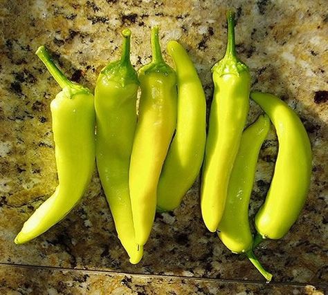 Hungarian Wax-much hotter than a banana pepper Wax Peppers, Sweet Banana Peppers, Hungary Food, Hot Banana Peppers, Hungarian Cuisine, Hot Pepper Seeds, Chili Recipe Easy, Green Peppers, Pepper Plants