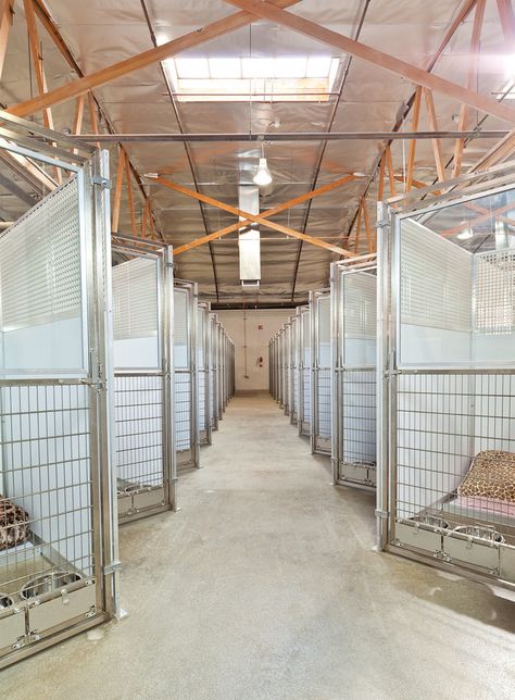 Barndominium With Dog Kennels, Luxury Pet Boarding, Animal Rescue Ideas Buildings, Barndominium Dog Kennel, Dog Boarding Facility Ideas Pet Resort, Dog Sanctuary Ideas, Dog Hotel Ideas, Commercial Dog Kennel Ideas, Dog Boarding Facility Ideas