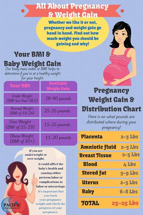 How Much Weight Can I Lose During Pregnancy, How To Not Gain Weight During Pregnancy, Pregnancy Weight Gain Chart, Pregnancy Super Foods, Weight Gain During Pregnancy, Pregnancy Development, Organize Closet, Healthy Pregnancy Food, Midwifery Student