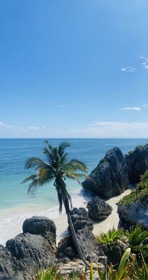 Mexico Beach Wallpaper, Beach Aesthetic Mexico, Travel Aesthetic Cruise, Tropical Lifestyle Aesthetic, Mexican Beach Aesthetic, Cozumel Mexico Aesthetic, Mexico Cruise Aesthetic, Mexico Trip Aesthetic, Mexico Travel Aesthetic