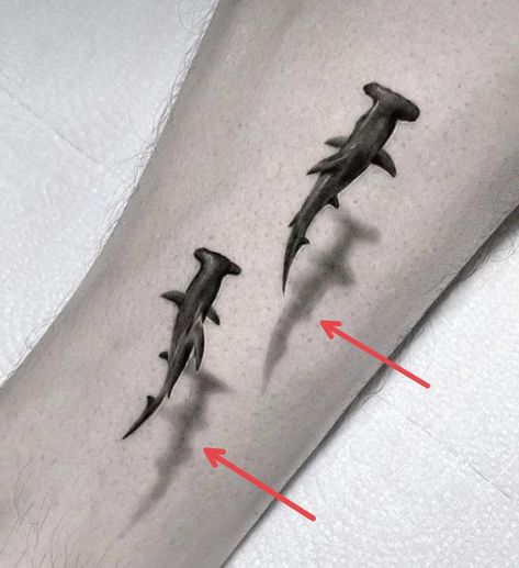 Sea Turtle Shadow Tattoo, Hammerhead Shark Tattoo Realistic, Turtle Shadow Tattoo, Black Tip Reef Shark Tattoo, Hammer Head Tattoo, Sea Sleeve Tattoo, Aquarium Tattoo, Tattoo Sea Turtle, Sea Animals Tattoo