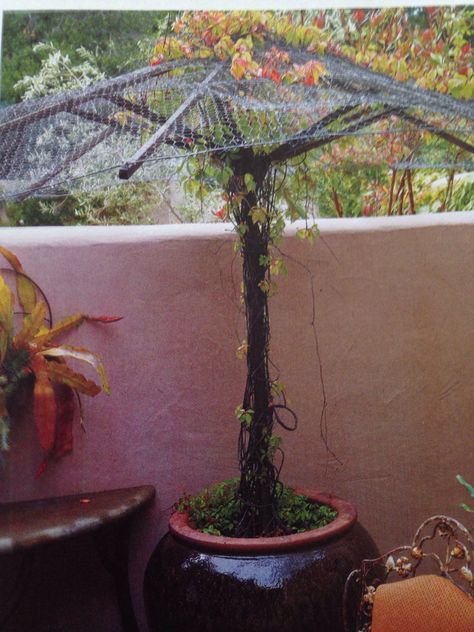 Up cycle an old umbrella for a climber plant. Use sealant if made of wood. Garden Umbrella Ideas, Diy Patio Garden, Designing A Garden, Garden From Scratch, Climber Plants, Connecting With Nature, Up Cycle, Aesthetic Garden, Garden Decor Projects