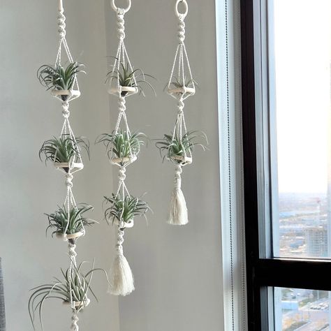 Introducing our Boho-inspired Macramé Air Plant Hanging Pots! Handcrafted with love in America, Florida, our hangers create an elegant atmosphere, perfect for adding a touch of natural elegance to your living space. A video of me creating your holders for you : https://www.etsy.com/explore/shop-post/1187097066471?shop_id=35378439 🌿 Size  🌿 - Double Plant Hanger - Hanger measures 54cm in length, with a 5cm ring for easy hanging. The overall length of the item is 59cm. - Triple Plant Hanger - Ha Plants Holder, Indoor Plant Display, Gift For Plant Lover, Wabi Sabi Decor, Plants Diy, Plant Hanging, Window Plants, Air Plant Display, Unique Houseplants