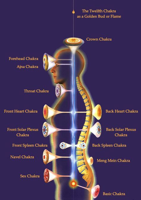 Gmcks Images, Energy Body Spiritual, Pranic Healing Meditation, Navel Chakra, Chakra Health, Anahata Chakra, Pranic Healing, Kundalini Awakening, Endocannabinoid System