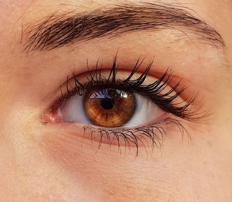 Brown Eyes Aesthetic, Eye Study, Bentuk Alis, Beautiful Eyes Color, Eye Close Up, Eyes Artwork, Eye Pictures, Photos Of Eyes, Realistic Eye