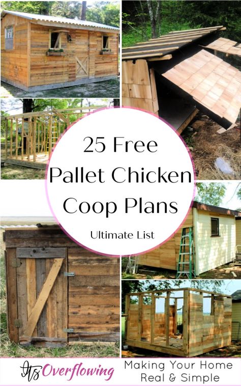 25 Pallet Chicken Coop Plans To Save Your Money Pallet Chicken Coop Plans, Pallet Chicken Coop, Pallet Coop, Easy Diy Chicken Coop, Hen Houses, Chicken Coop Plans Free, Chicken Coop Blueprints, Cheap Chicken Coops, Chicken Coop Pallets