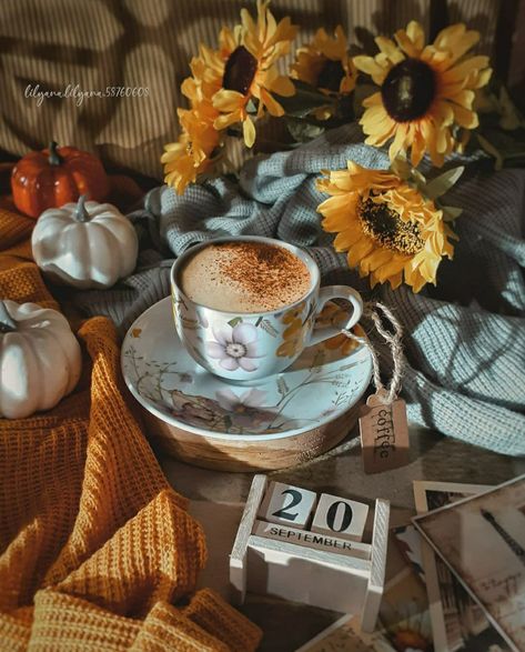 September vibes September Aesthetic Photography, September Aesthetic Month, September Mood Board, September Vibes, September Mood, Coffee Autumn, Beautiful Love Images, Phone Art, Halloween Aesthetic