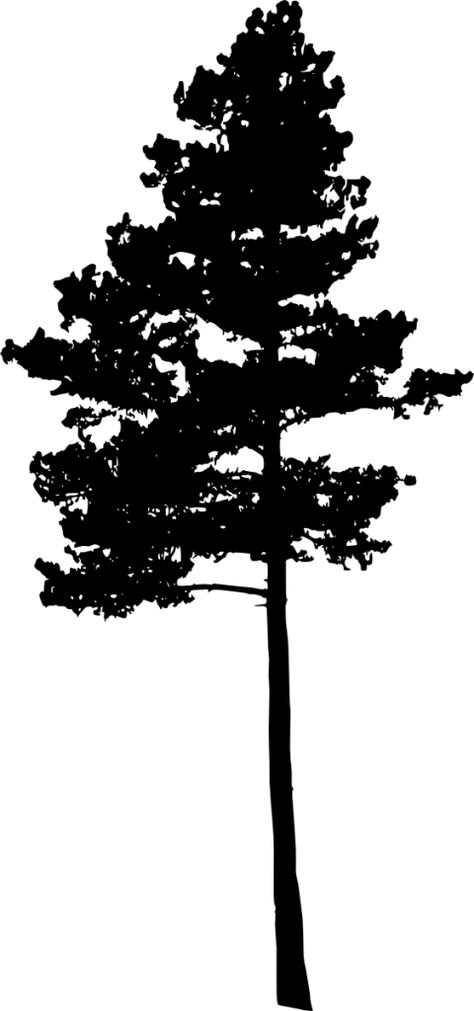 Tree Sillohettes, White Pine Silhouette, Tree Siloutte, Tree Silloutes, Wyoming Aesthetic, Pine Silhouette, Silhouette Tree, Trees Silhouette, Pine Tree Silhouette