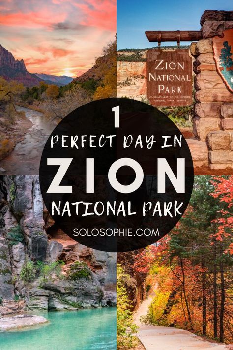 How to Spend the Perfect One Day in Zion National Park Itinerary Temple Of Sinawava, National Park Itinerary, National Park Lodges, Riverside Walk, Zion Canyon, Dog Cafe, Slot Canyon, National Park Service, Zion National Park