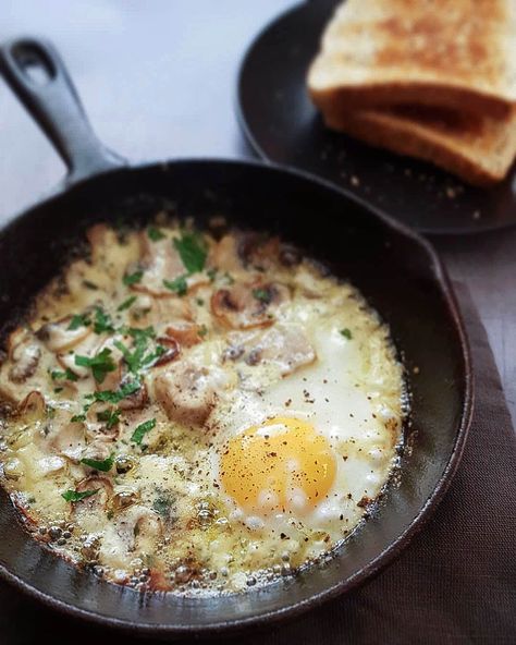 creamy mushrooms Mushroom Breakfast, Eggs And Mushrooms, Male Fitness, Creamy Mushrooms, Egg Breakfast, Breakfast Brunch Recipes, Healthy Eating Tips, Mushroom Recipes, An Egg