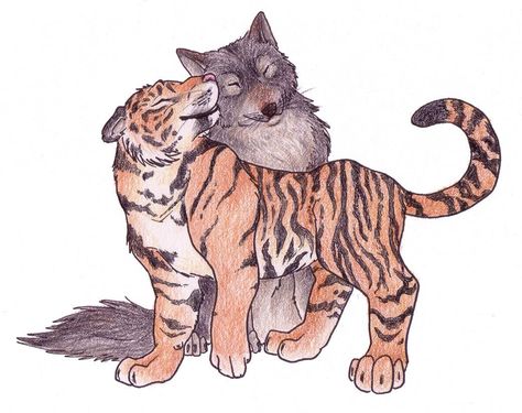 Wolf and tiger Wolf And Tiger, Anime Wolves, Tiger Sketch, Tiger Images, How To Draw Anime, Tiger Drawing, Wolf Artwork, Tiger Painting, Anime Boy Sketch