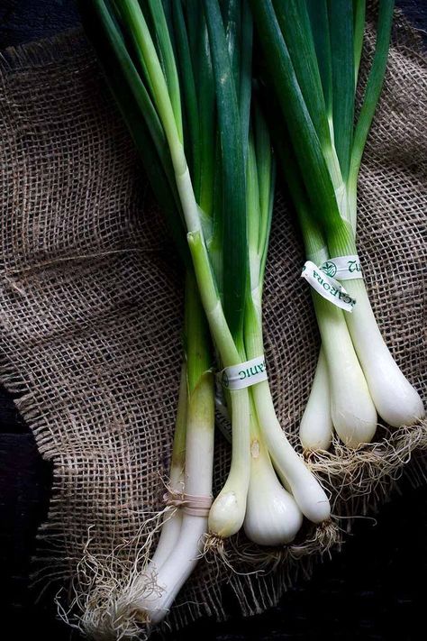 Discussion of scallion vs green onions can be confusing. Is there a difference? Also, what are spring onions? Dig in to the answers here! Green Onion Aesthetic, Scallion Recipes, Dream Fridge, Spring Nails 2020, Spring Outfits 2020, Black Dessert, Onion Vegetable, Instagram Feed Planner, Starchy Vegetables