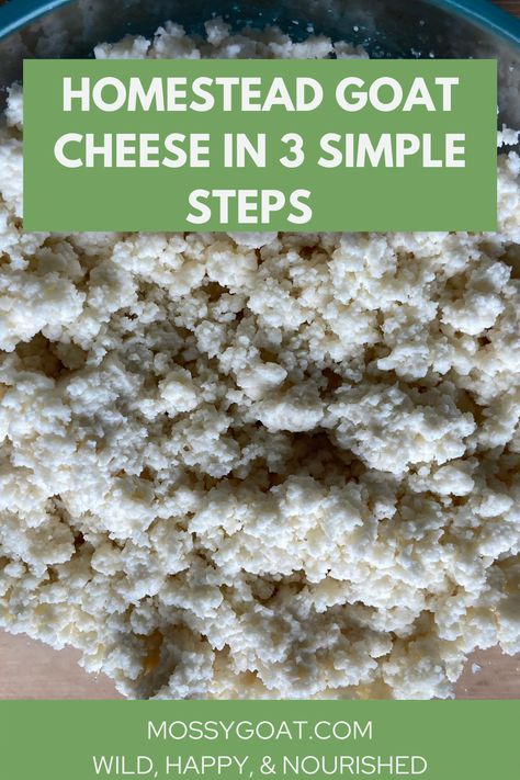 With just two ingredients and three steps, this simple but delicious goat cheese is sure to become a homestead staple. No starter culture is needed. #homestead #goatcheese #cheesemaking #homesteading #selfreliance #recipe #harvest Making Goat Cheese, Make Goat Cheese, Simple Homestead, Cheese Making Process, Cheese Recipes Homemade, Cheese Making Recipes, Goat Milk Recipes, Canning Salt, Diy Cheese