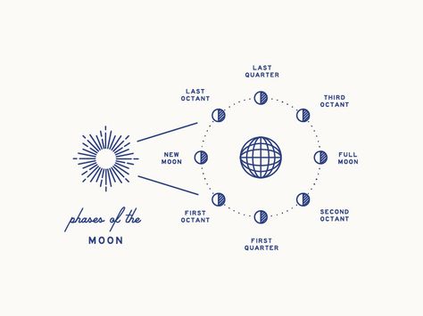 Moon Phase Diagram by Braizen Full Moon Phases, Scientific Diagram, Process Design, Bauhaus Poster, Diagram Design, Ux Ui, Spell Book, Logo Ideas, Sweater Design