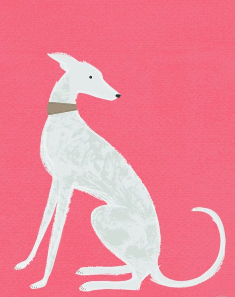 Grey Hound Illustration, Lurcher Dog Drawing, Greyhound Dog Drawing, Whippet Dog Drawing, Italian Greyhound Drawing, Italian Greyhound Illustration, Lurcher Drawing, Dog Portrait Illustration, Greyhound Art Paintings