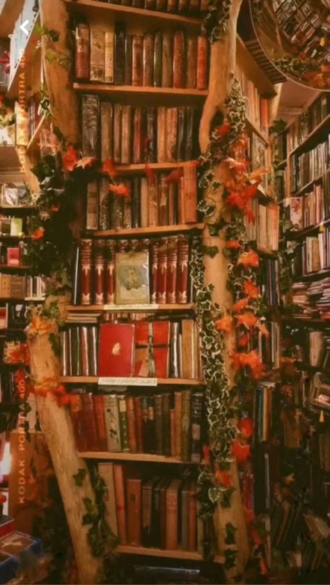 Autumn Fall Aesthetic, Gnome Village, Fall Bedroom, Fall Aesthetic, Autumn Aesthetic, Room Aesthetic, Enchanted Forest, Autumn Fall, Corner Bookcase