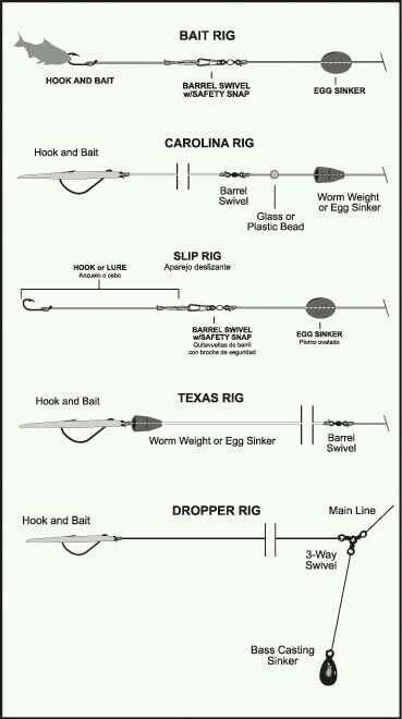 Fishing rigs Pesca In Mare, Kayak Fishing Gear, Salt Water Fishing, Bass Fishing Tips, Surf Fishing, Fishing Rigs, Crappie Fishing, Fishing Techniques, Fishing Knots