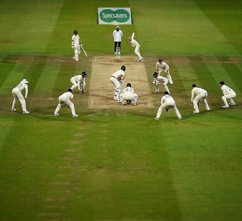 Cricket England, Tiger Photography, England Cricket Team, Cricket Coaching, Live Cricket Streaming, Travel Destinations In India, Cricket Games, Fifa Football, World Cricket