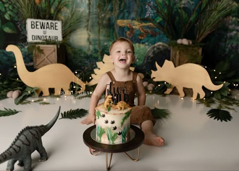 Dinosaur Cake Smash, Birthday Photoshoot Ideas Boys, Dinosaur Photography, Dinosaur Roar, Butterfly Garden Party, Dinosaur Birthday Theme, Girl Dinosaur Birthday, Whole Cake, Dinosaur Birthday Party Decorations