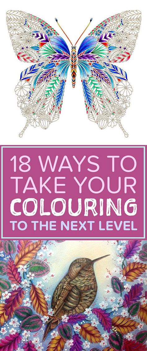 18 Ways To Take Your Colouring To The Next Level - Long story short: just be creative and have fun :D Watercolour Tips, Millie Marotta Coloring Book, Coloring Painting, Indie Craft, Painting Pencil, Millie Marotta, Watercolor Tips, Coloring Tips, Coloring Tutorial