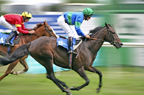 Following the leaders is not a recipe for social media success Horse Competition, High Speed Photography, Race Course, Thoroughbred Horse Racing, Horse Dressage, Two Horses, Horse Race, Thoroughbred Horse, All About Horses